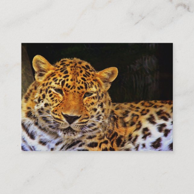 Tarjeta De Visita Majestic Leopard Business Card (Anverso)