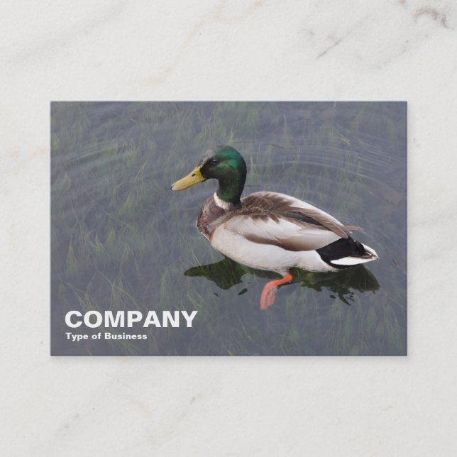 Tarjeta De Visita Mallard Duck (Anverso)