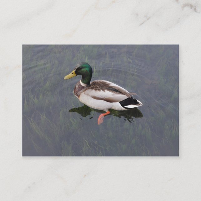 Tarjeta De Visita Mallard Duck (Anverso)