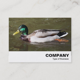 Tarjeta De Visita Mallard Duck