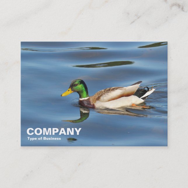 Tarjeta De Visita Mallard Duck (Anverso)