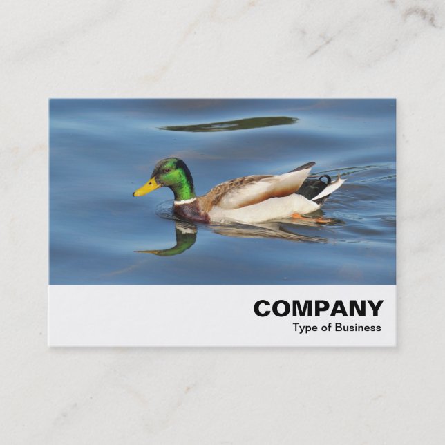 Tarjeta De Visita Mallard Duck (Anverso)