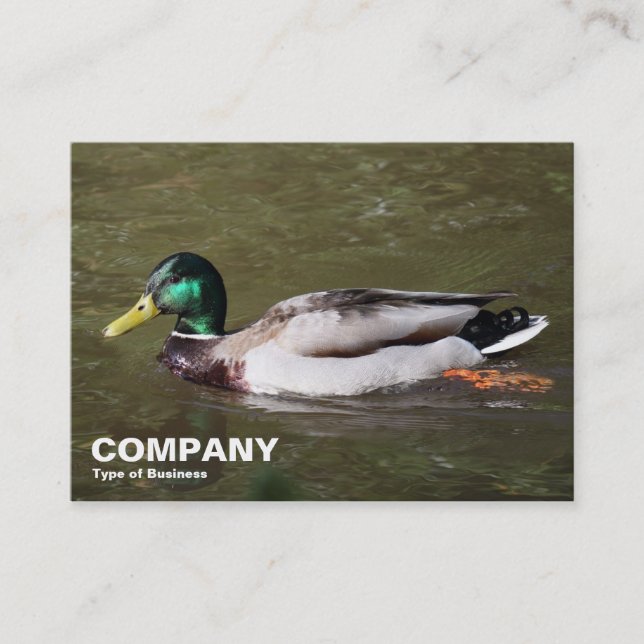 Tarjeta De Visita Mallard Duck (Anverso)