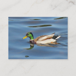 Tarjeta De Visita Mallard Duck
