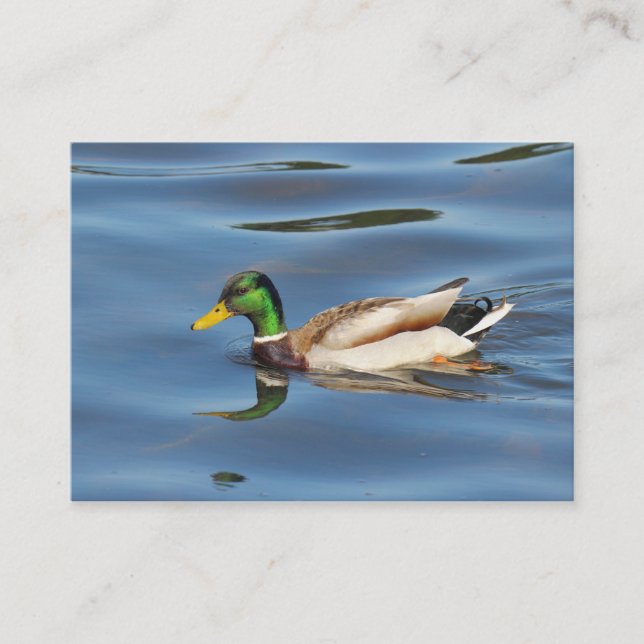 Tarjeta De Visita Mallard Duck (Anverso)