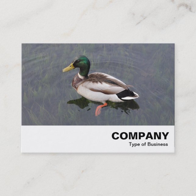 Tarjeta De Visita Mallard Duck (Anverso)