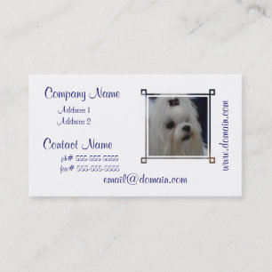 Tarjeta De Visita Maltés adorable
