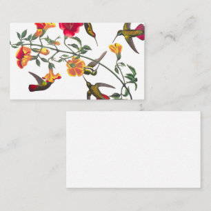 Tarjeta De Visita Mango Hummingbird por John James Audubon