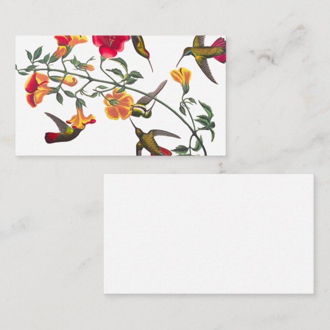 Tarjeta De Visita Mango Hummingbird por John James Audubon (Anverso / Reverso)