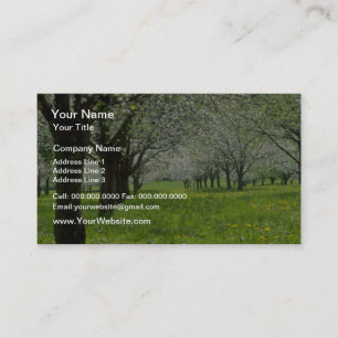 Tarjeta De Visita manzanos Blancos en las flores de la primavera