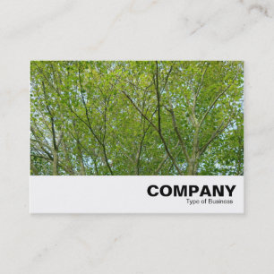 Tarjeta De Visita Maple japonés