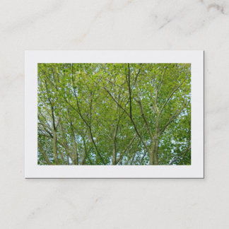 Tarjeta De Visita Maple japonés (bordeado)