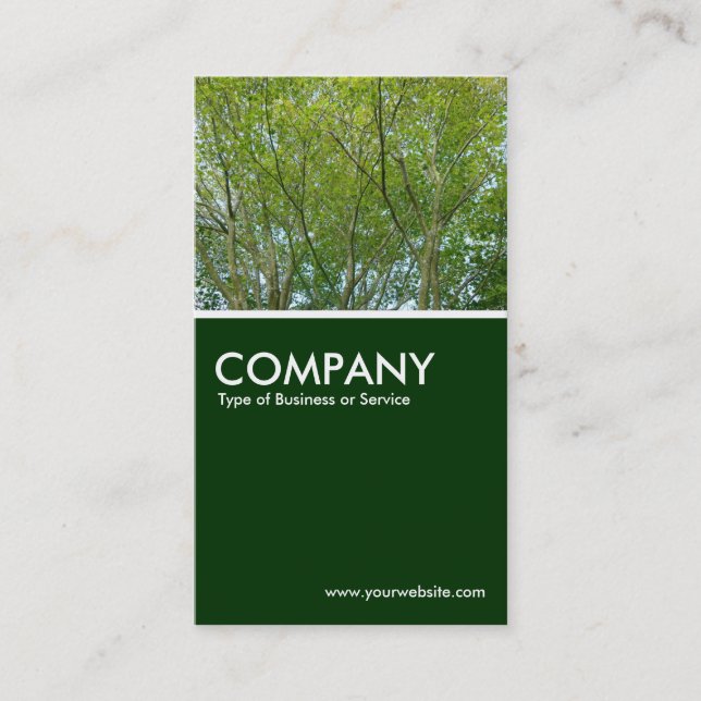 Tarjeta De Visita Maple japonés - Verde oscuro (Anverso)