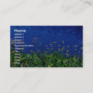Tarjeta De Visita Marble Mountain Wilderland