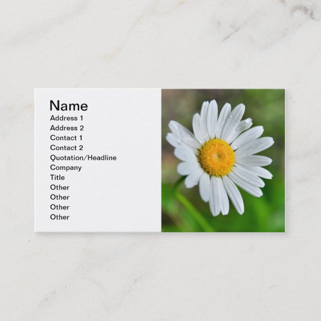Tarjeta De Visita Marguerite-wild-flower426 WILDFLOWERS DAISY SPRIN (Anverso)
