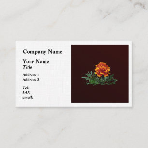 Tarjeta De Visita Marigold Naranja con los consejos amarillos