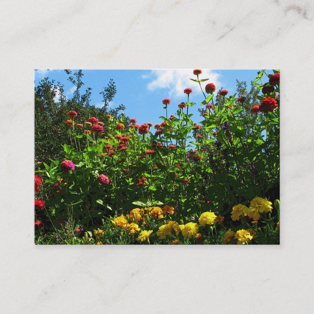 Tarjeta De Visita Marigolds, Zinnias y Blue Sky ATC (Anverso)
