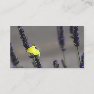 Tarjeta De Visita Mariposa Amarilla sobre Lavanda Púrpura Foto Macro
