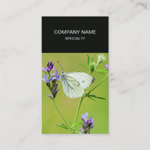 Tarjeta De Visita Mariposa blanca veteada verde