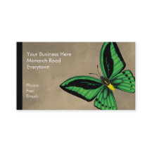 Mariposa de Birdwing de los mojones dorsal y