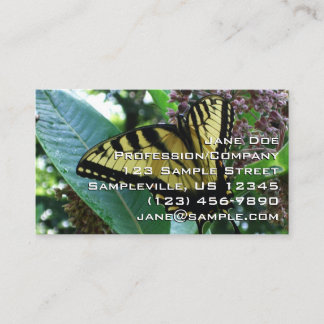Tarjeta De Visita Mariposa de cola torta I en Milkweed en Shenandoah