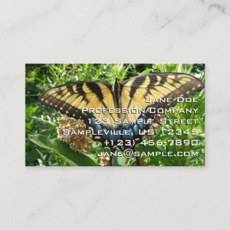 Tarjeta De Visita Mariposa de cola torta II en Shenandoah