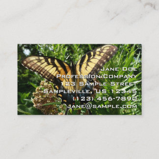 Tarjeta De Visita Mariposa de cola tragaluz III Bella foto colorida