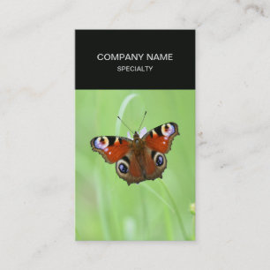 Tarjeta De Visita Mariposa Pavo Real