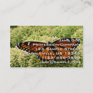 Tarjeta De Visita Mariposa Viceroy Hermosa Fotografía de la Naturale