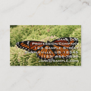 Tarjeta De Visita Mariposa Virrey Fotografía De Naturaleza Hermosa