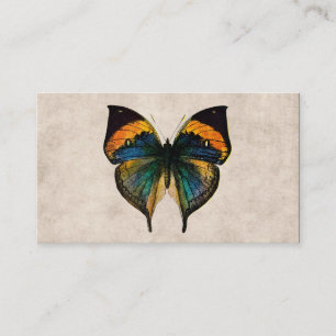 Tarjeta De Visita Mariposas del ilustracion 1800's de la mariposa