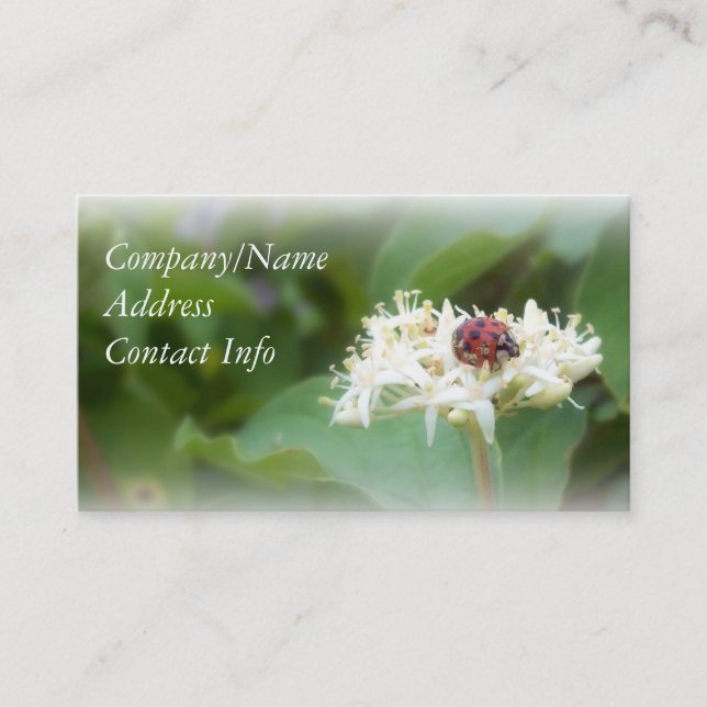 Tarjeta De Visita Mariquita (Anverso)