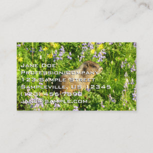Tarjeta De Visita Marmot en Mont Rainier Wildflowers