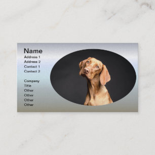 Tarjeta De Visita Mascota Brown Beagle Dog