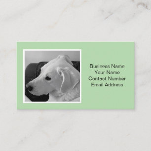 Tarjeta De Visita Mascota de fotografía de perro verde claro simple 