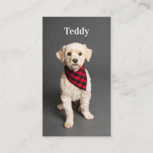 Tarjeta De Visita Mascota de fotografía personalizado Perro de polic