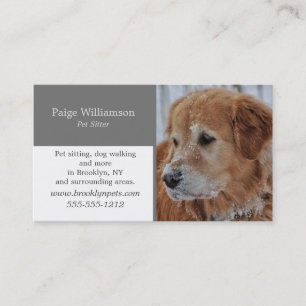 Tarjeta De Visita Mascota fotográfico moderno