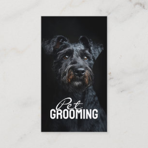 Tarjeta De Visita Mascota Groomer Salon Care Kerry Blue Terrier