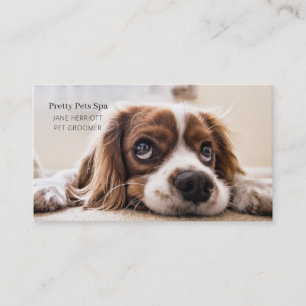 Tarjeta De Visita Mascota Grooming