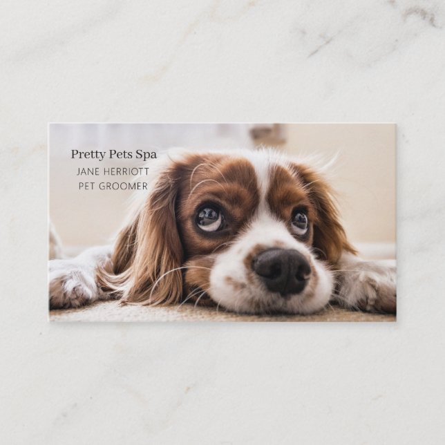 Tarjeta De Visita Mascota Grooming (Anverso)