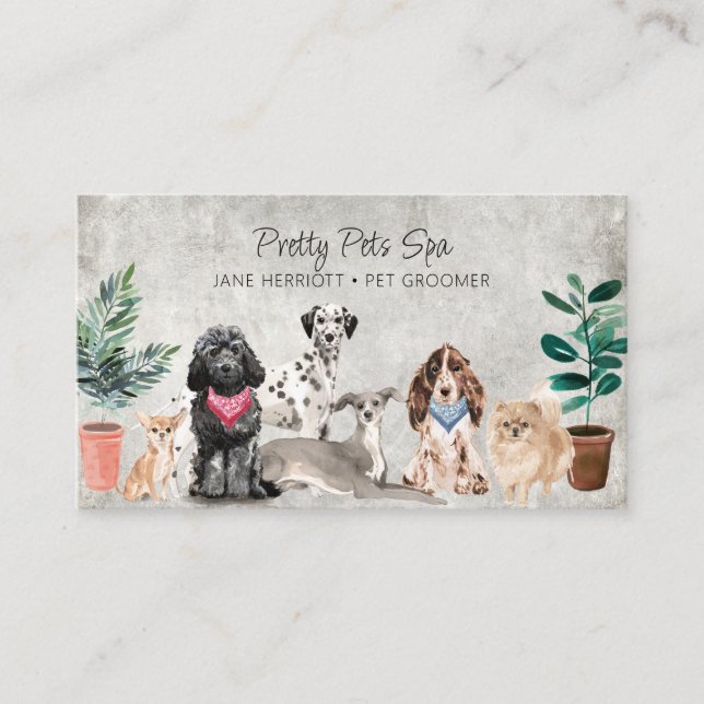 Tarjeta De Visita Mascota Grooming Mascota Spa (Anverso)