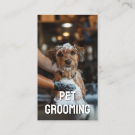 Tarjeta De Visita Mascota Grooming Salon Care Retrato Boutique Terri