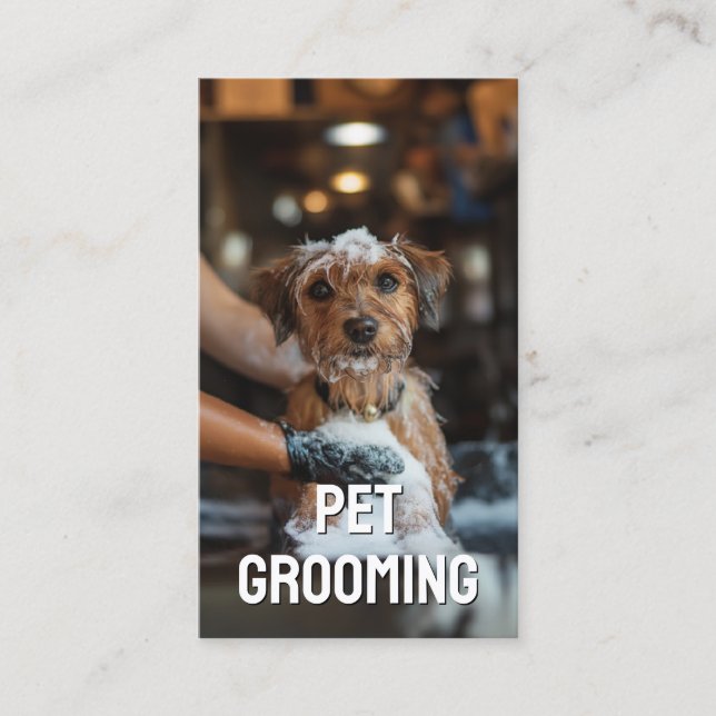 Tarjeta De Visita Mascota Grooming Salon Care Retrato Boutique Terri (Anverso)
