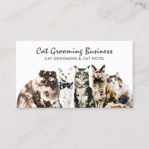 Tarjeta De Visita Mascota Grooming Salon Spa Cats