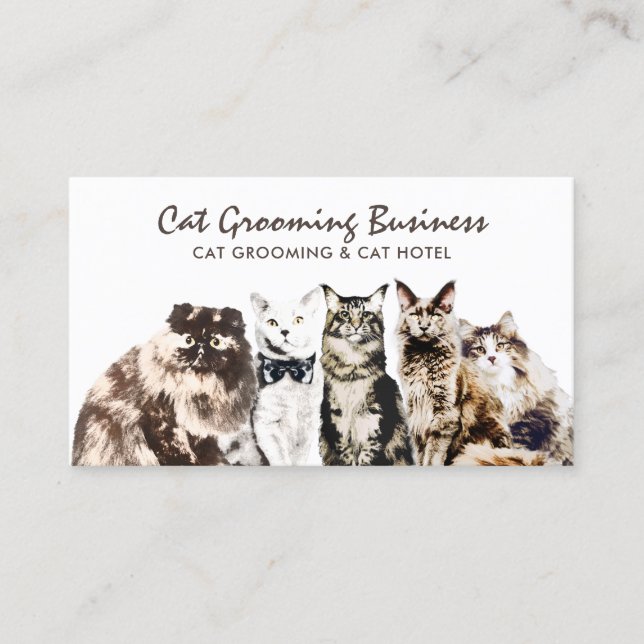 Tarjeta De Visita Mascota Grooming Salon Spa Cats (Anverso)