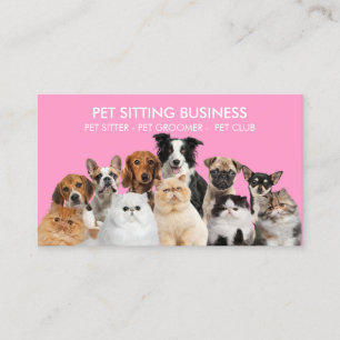 Tarjeta De Visita Mascota Hogar Rosa Perro Gatos