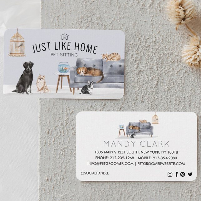 Tarjeta De Visita Mascota Hogar Sentado Acuarela Acogedor Sofá Gris  (Subido por el creador)