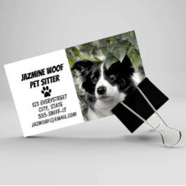 Tarjeta De Visita Mascota Sitter Dog Walker