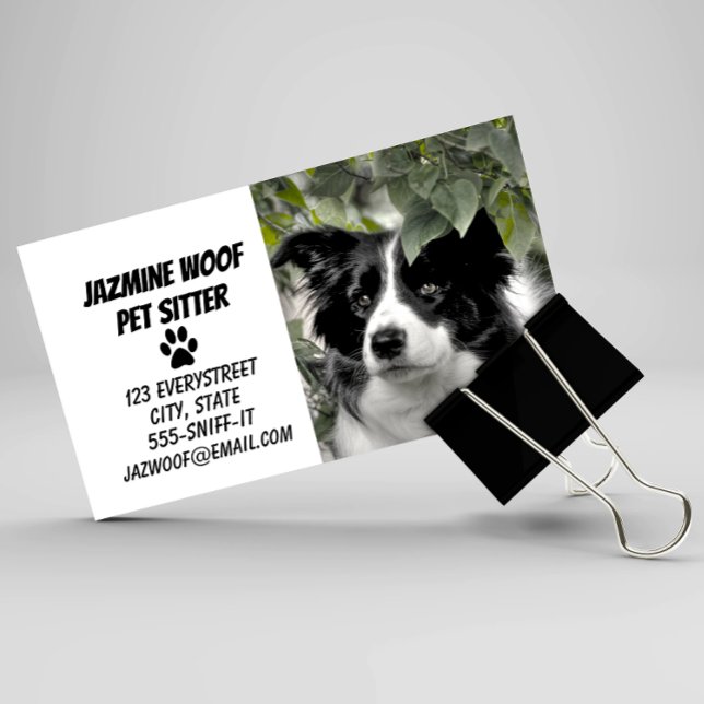 Tarjeta De Visita Mascota Sitter Dog Walker (Subido por el creador)
