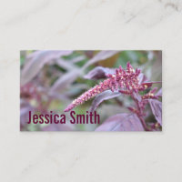 Mauve Purple Flowers Floral Nature Garden Foto